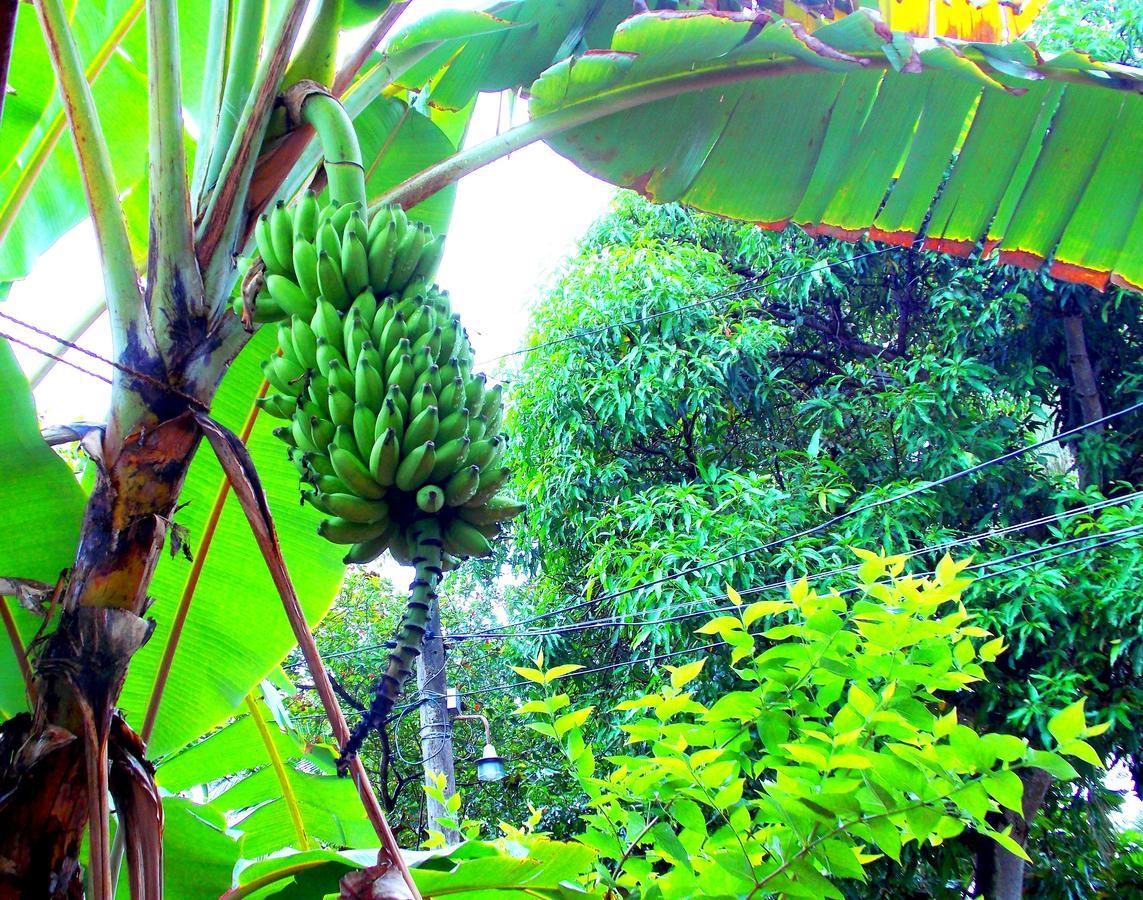 Chill Space Negombo Esterno foto